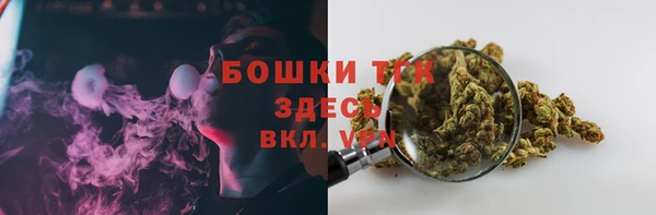 шишки Протвино